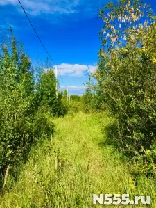Сдаем в аренду земельный участок 6 гектар под трассу