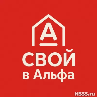 Партнер в проект Свой в альфе