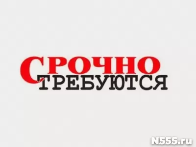Тестировщик