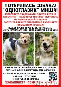 Помогите найти Мишеля