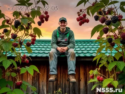 Замена кровли и крыши на деревянном доме, бане