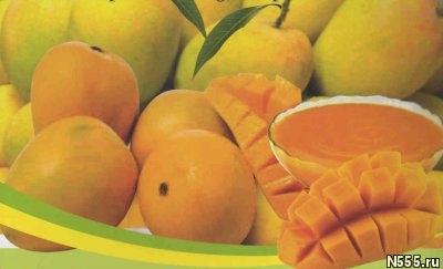 Предлагаем концентрат пюре манго Индия.