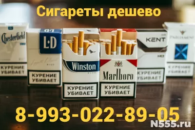 Купить сигареты с доставкой