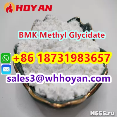 CAS 80532-66-7 BMK Methyl Glycidate powder supplier factory фото