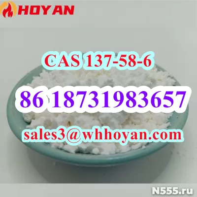 CAS 137-58-6 Lidocaine white powder High Purity фото