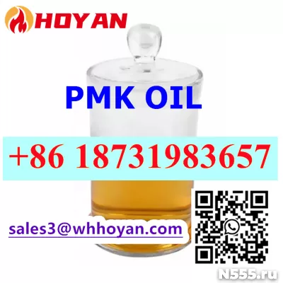 CAS 28578-16-7 pmk oil liquid