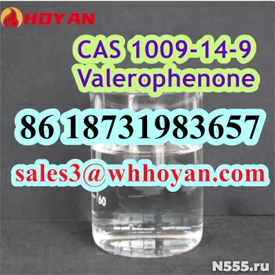 CAS 1009-14-9 Valerophenone factory safe delivery to Russia