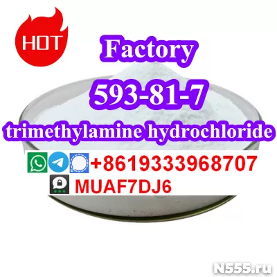 Chemical raw material trimethylamine hydrochloride 593-81-7 фото 1