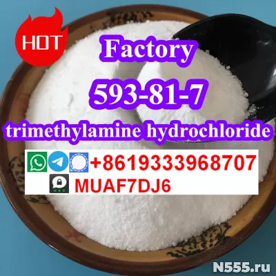 Chemical raw material trimethylamine hydrochloride 593-81-7 фото