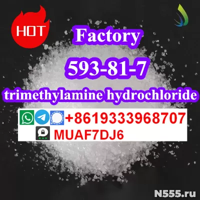 Chemical raw material trimethylamine hydrochloride 593-81-7 фото 2