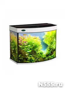 Панорамные аквариумы с тумбой, освещением и крышкой фото 3