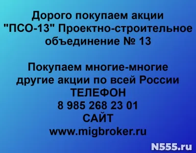 Покупаем акции «ПСО-13 Проектно-строительное объединение» фото