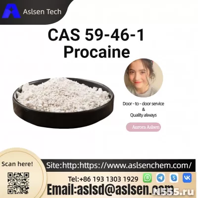 Procaine CAS 59-46-1