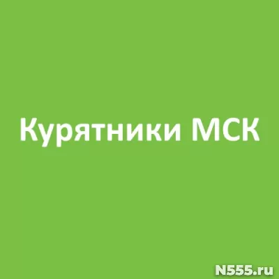 Готовые курятники фото