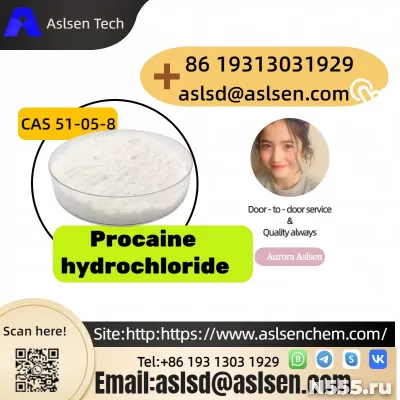 Popular Global Quality Procaine hydrochloride CAS 51-05-8 фото