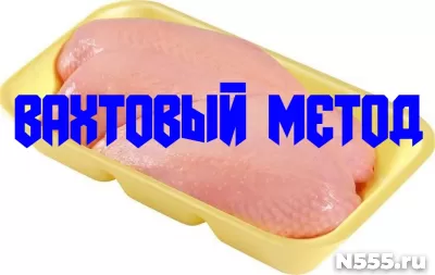 Упаковщики Птицефабрика Вахта