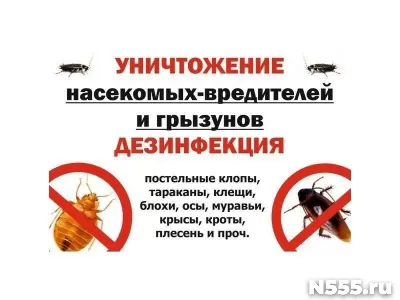 Дезинфекция фото