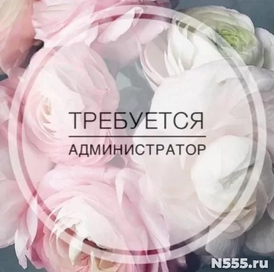 Требуется администратор 💁🏻‍♀️