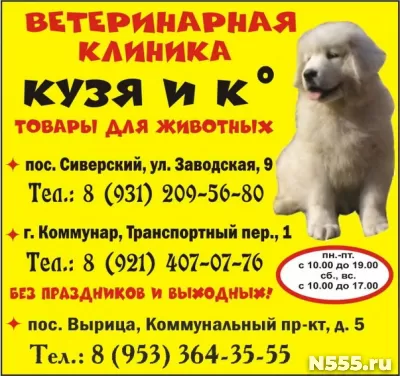 Ветеринарные клиники "Кузя и К"